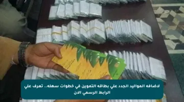 لإضافة المواليد الجدد على بطاقة التموين في خطوات سهلة.. تعرف على الرابط الرسمي الآن